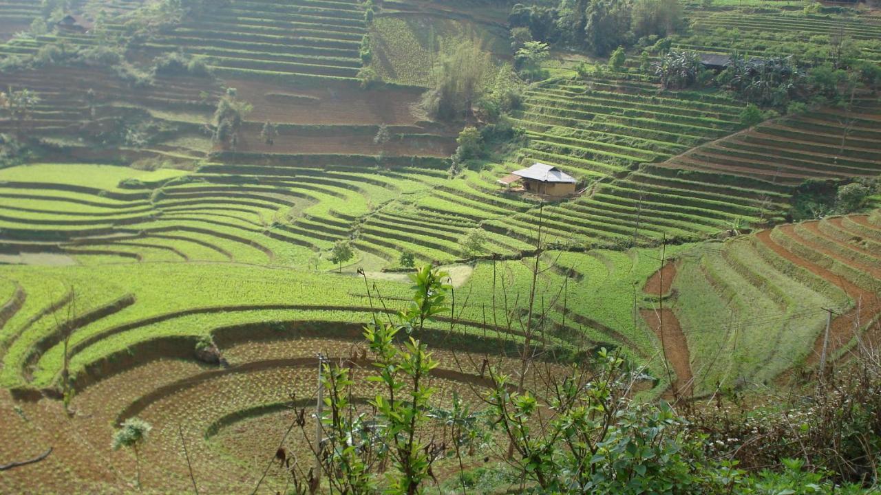Ferienwohnung Sa House Bac Ha Exterior foto