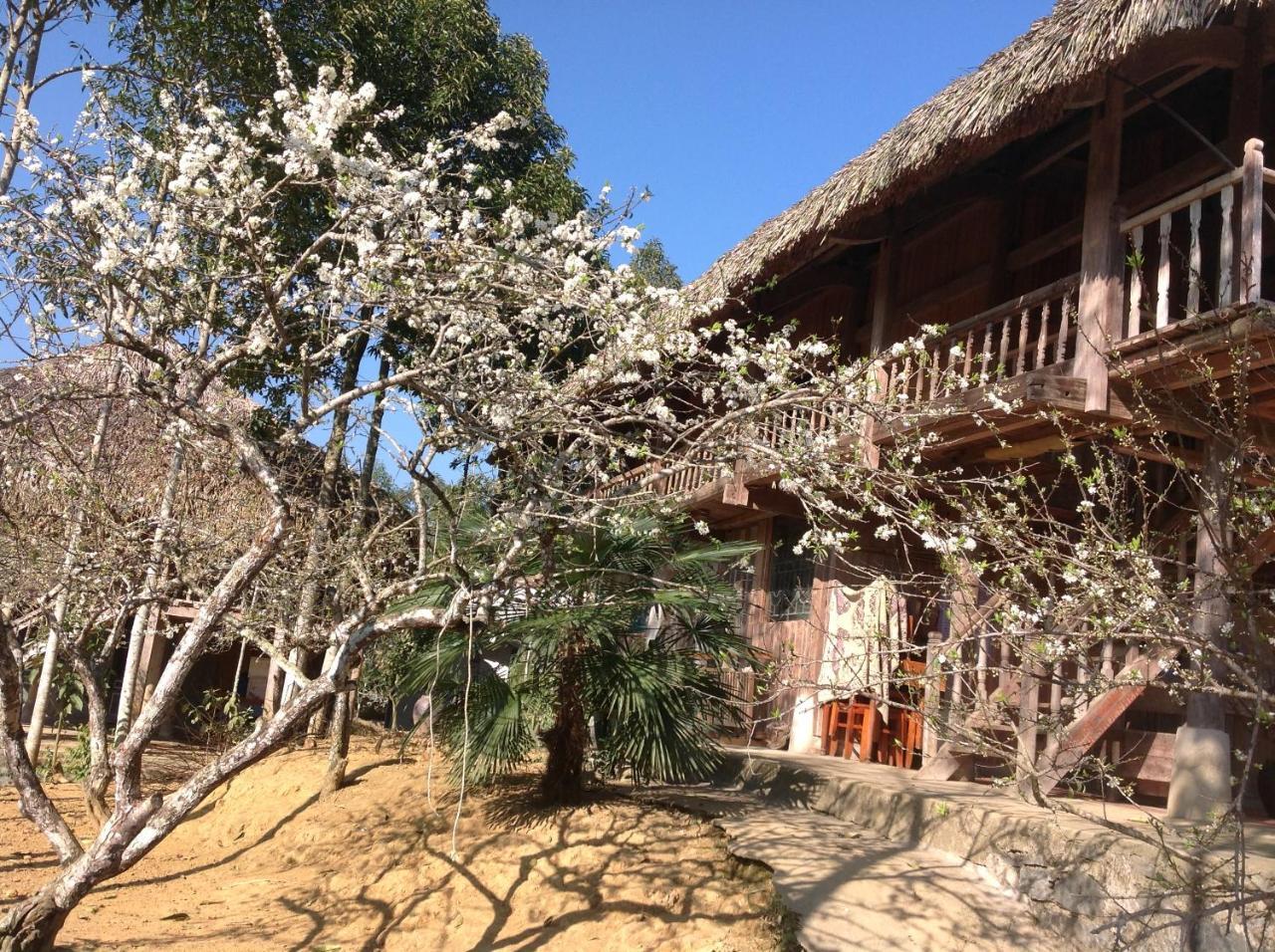 Ferienwohnung Sa House Bac Ha Exterior foto
