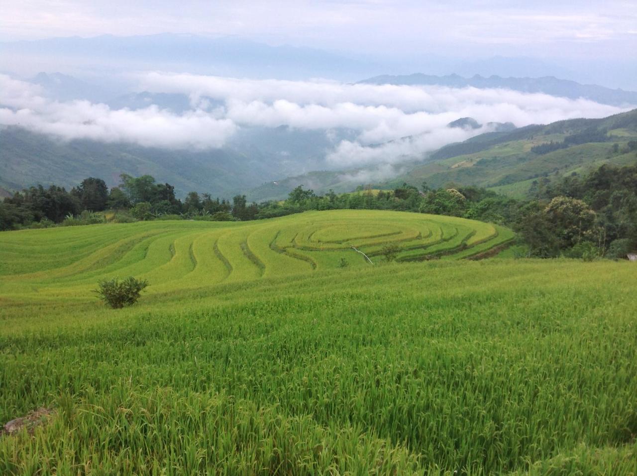 Ferienwohnung Sa House Bac Ha Exterior foto